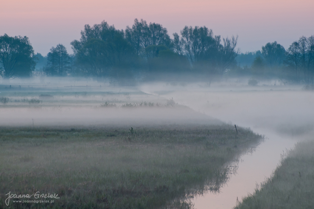 007_Biebrza - kwiecien 2012.jpg